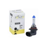 Halogen Bulb P22D 12/24 Volt